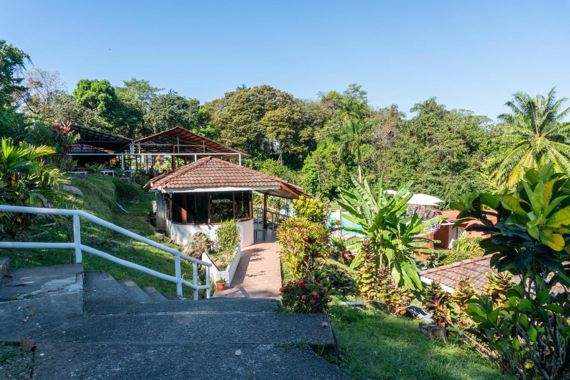 Bongo - Adults Only Hotel Manuel Antonio Exterior foto